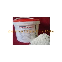 Ziemia okrzemkowa spożywcza 1000g  Diatomit